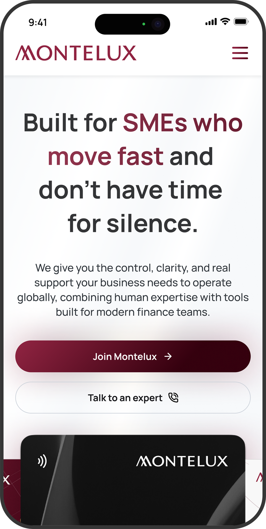 montelux 'more than a bank' mobile screenshot 3