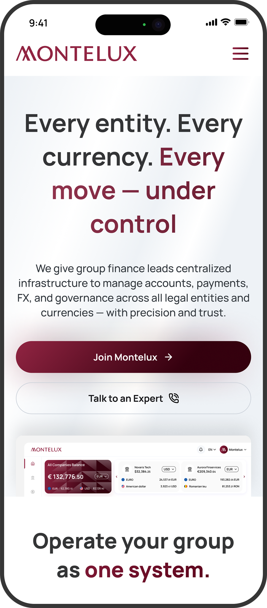 montelux 'more than a bank' mobile screenshot 6