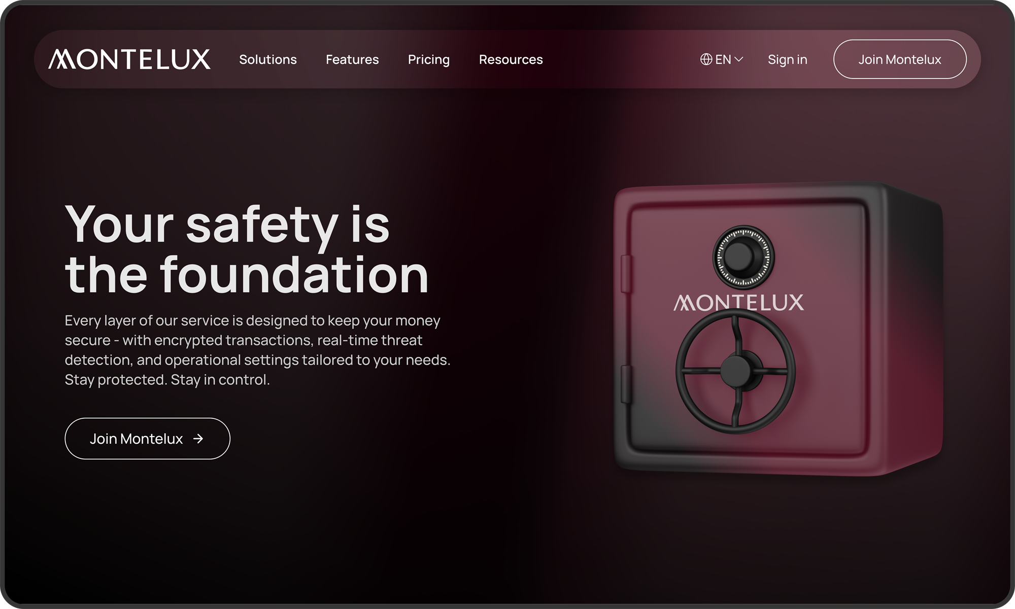 montelux 'more than a bank' desktop screenshot 2
