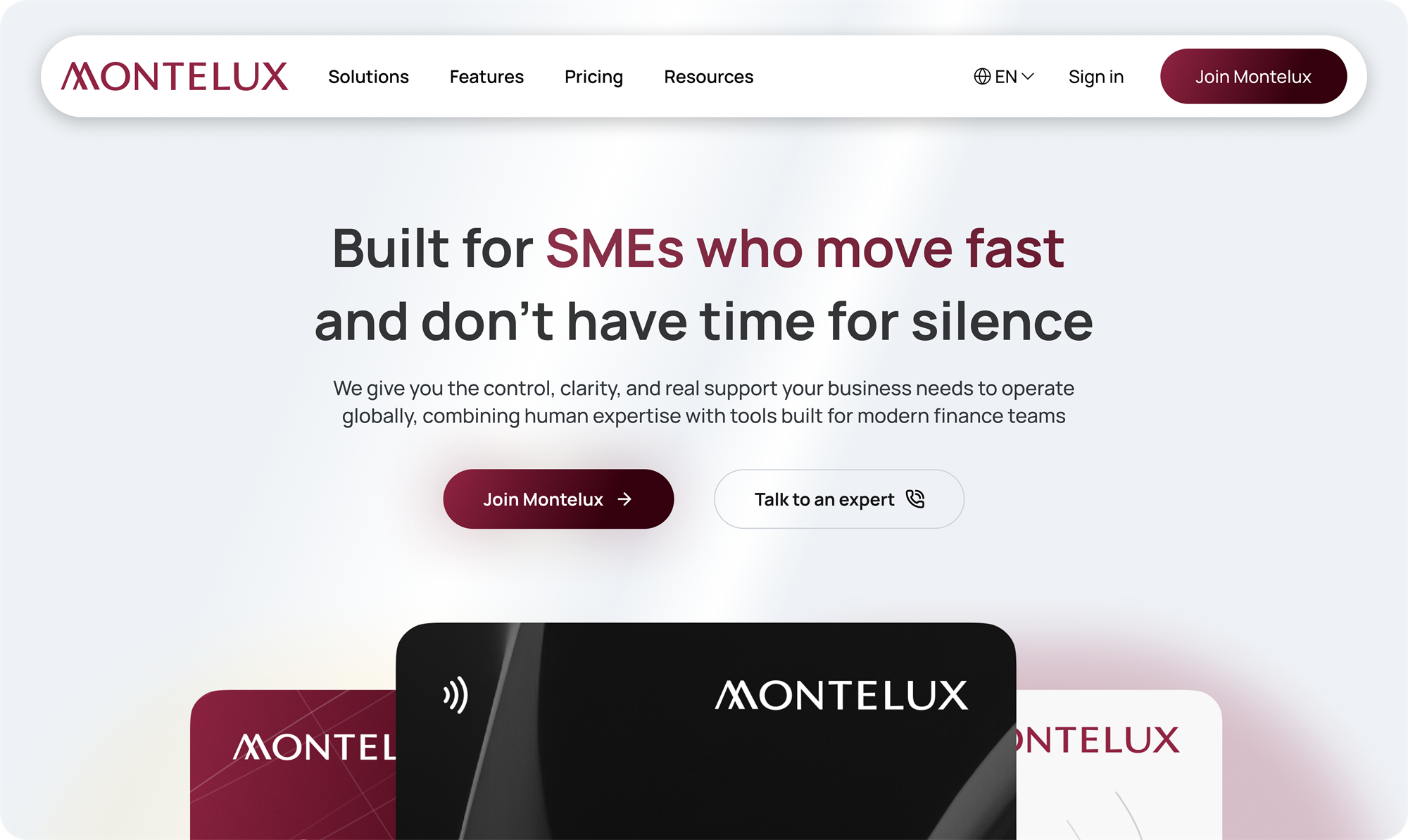 montelux 'more than a bank' desktop screenshot 3