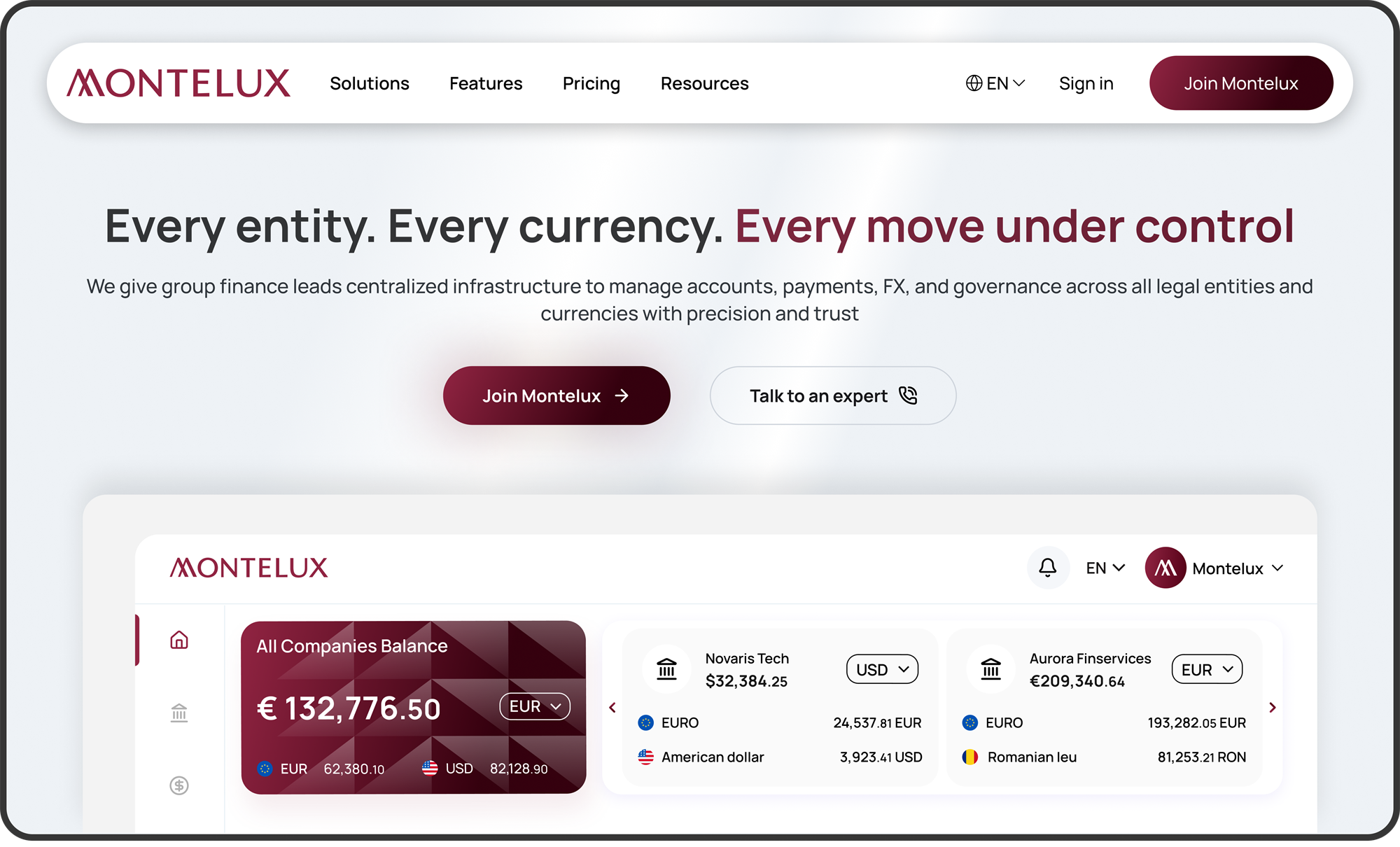 montelux 'more than a bank' desktop screenshot 6
